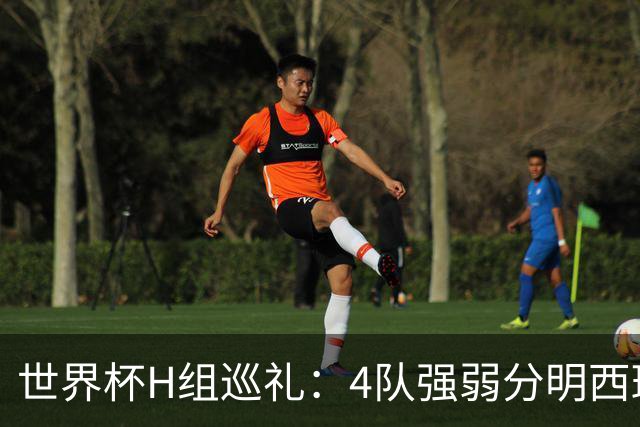 世界杯H组巡礼：4队强弱分明西班牙冲冠 佛得角首次亮相