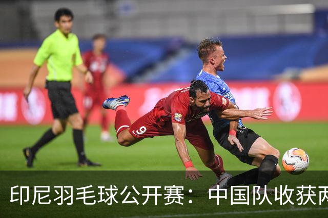 印尼羽毛球公开赛：中国队收获两项亚军